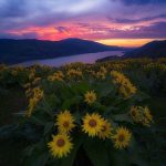 دانلود آهنگ بخند بروی دنیا دنیا بروت بخنده دانلود آهنگ بخند بروی دنیا دنیا بروت بخنده