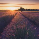 دانلود آهنگ کارو بند دل دیوونه