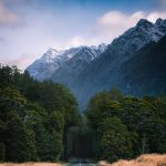 دانلود آهنگ مرتضی احمدی پنبه زنی