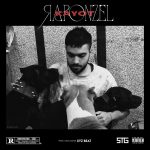 دانلود آهنگ کایوت راپونزل