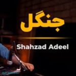 دانلود آهنگ شهزاد عدیل جنگل