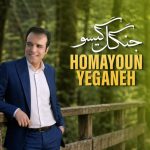 دانلود آهنگ همایون یگانه جنگل گیسو دو کیفیت عالی و خوب mp3