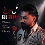 دانلود آهنگ جواد امانی گل سرخ با بهترین کیفیت mp3
