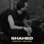دانلود آهنگ فرهاد و دل آرام شاهد دانلود آهنگ فرهاد و دل آرام شاهد